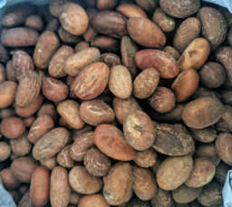 AFRICAN NUTS