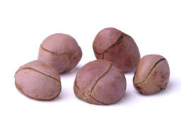 NATIVE KOLA NUTS